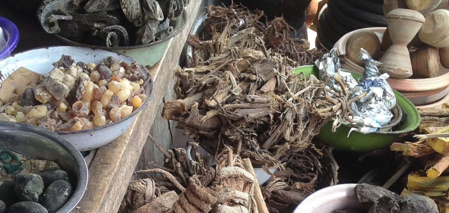 Traditional medicine and medicinal plants